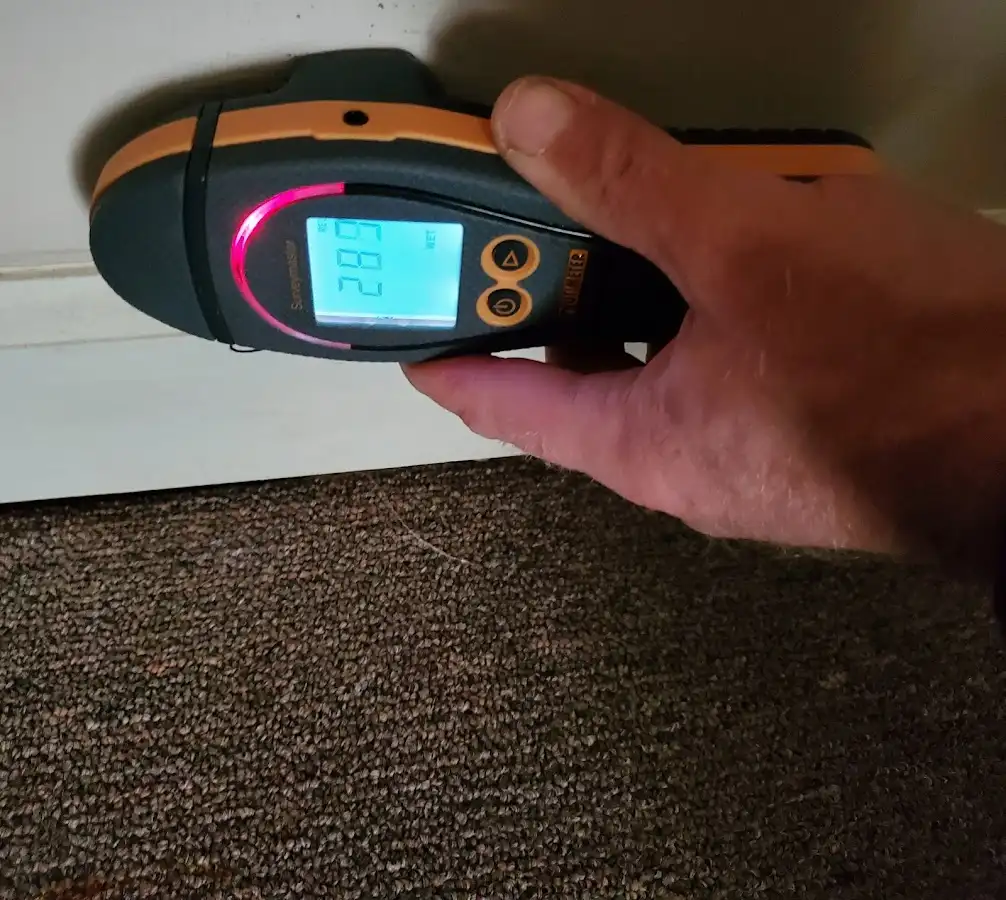 Moisture detection at baseboard during Mold Inspection & Testing in Beatrice